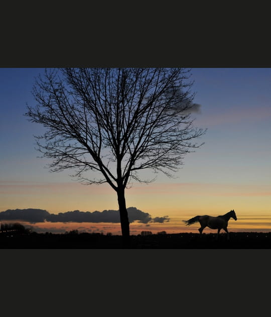 Meilleures photos de janvier