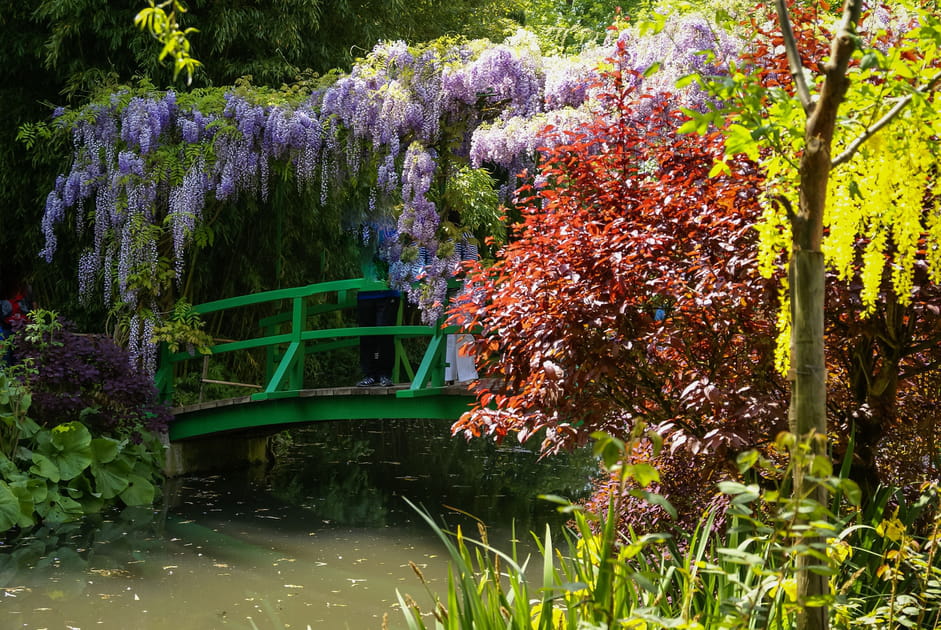 Le jardin d'eau de Monet &agrave; Giverny