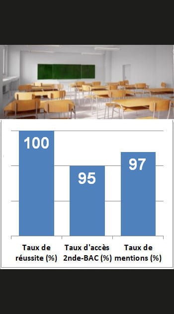 10e ex-aequo&nbsp;- Lyc&eacute;e Notre-Dame (Boulogne-Billancourt)&nbsp;: 19,6&nbsp;/ 20