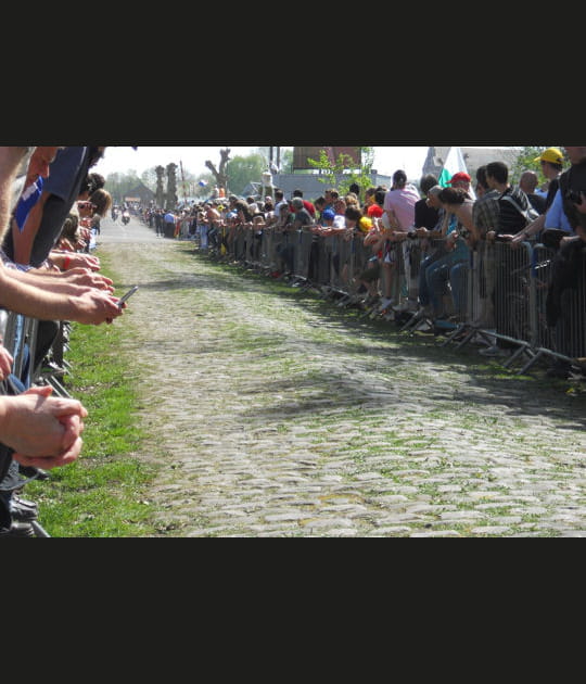 La foule d'Arenberg
