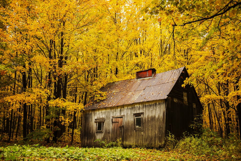 Ma cabane au Canada