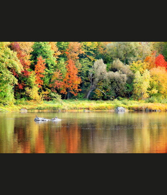 Reflets d'automne