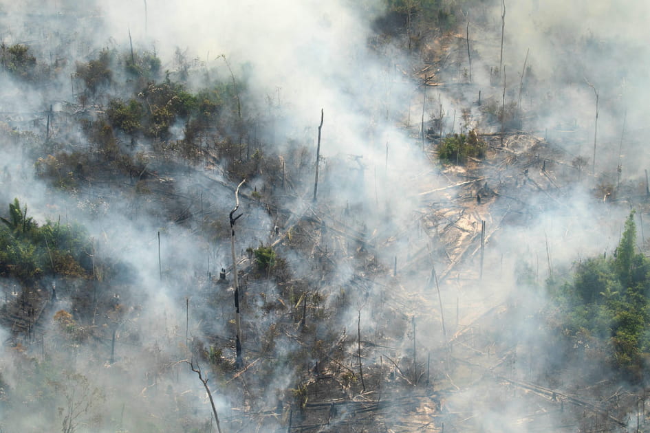 D&eacute;sastre &eacute;cologique