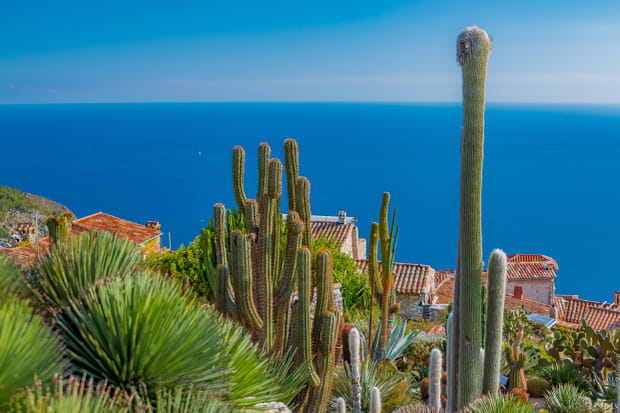 Le jardin exotique d'Eze