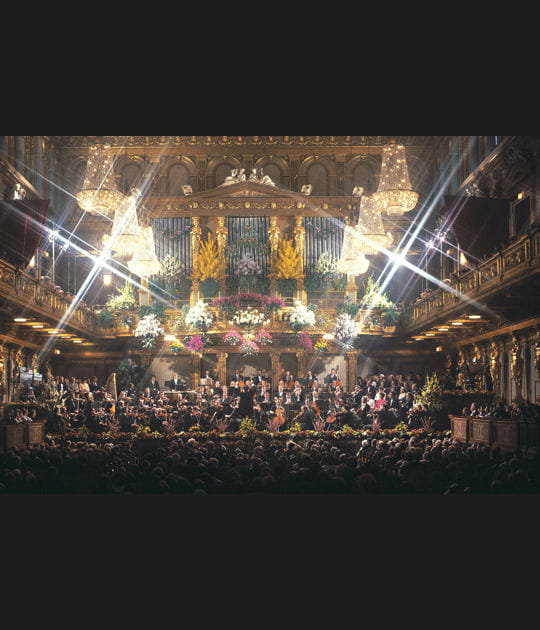 Les &eacute;clats de l'op&eacute;ra de Vienne