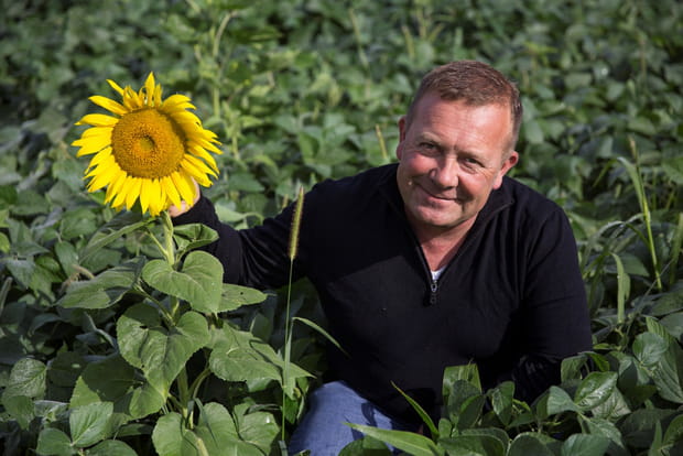 David aurait trouvé l'âme soeur