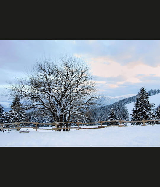 Derni&egrave;re neige