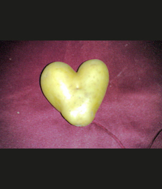 C&oelig;ur de pomme de terre