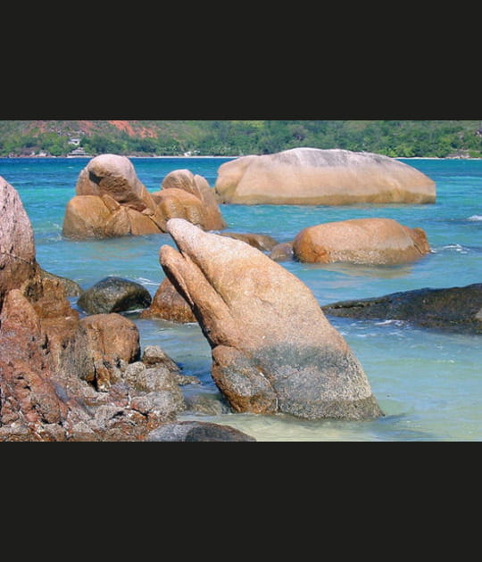 Rochers en forme d'animaux