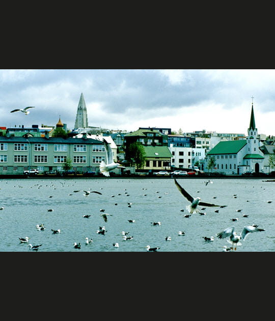 Le Lac Tj&ouml;rnin, Islande