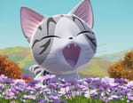Chi mon chaton