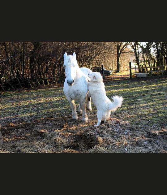 Quelque chose &agrave; te dire