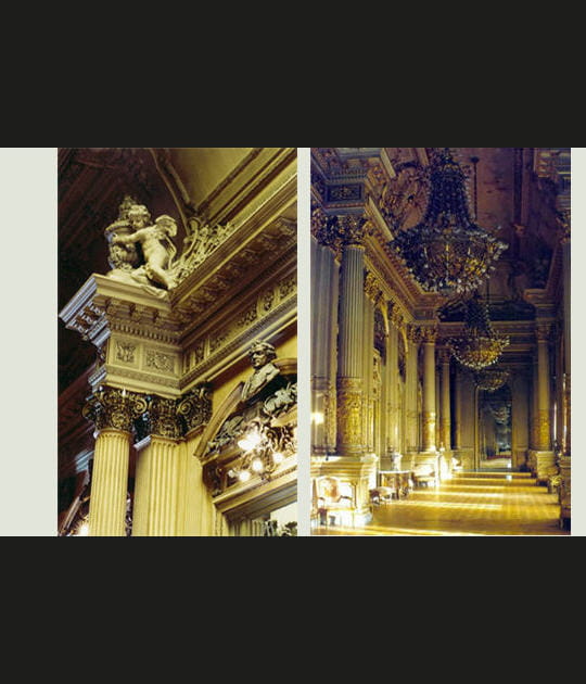 Le Salon dor&eacute;