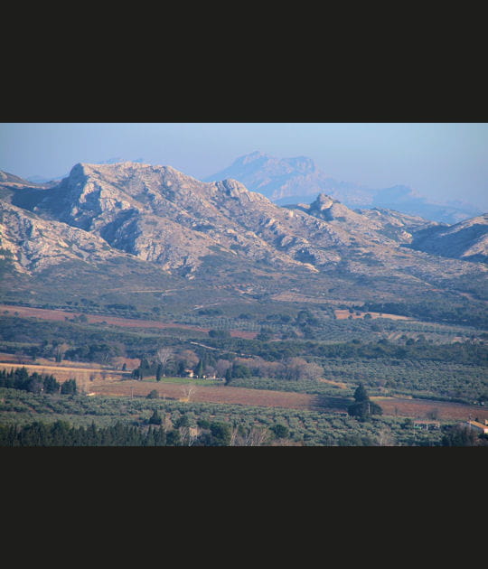 Paysage des Alpilles