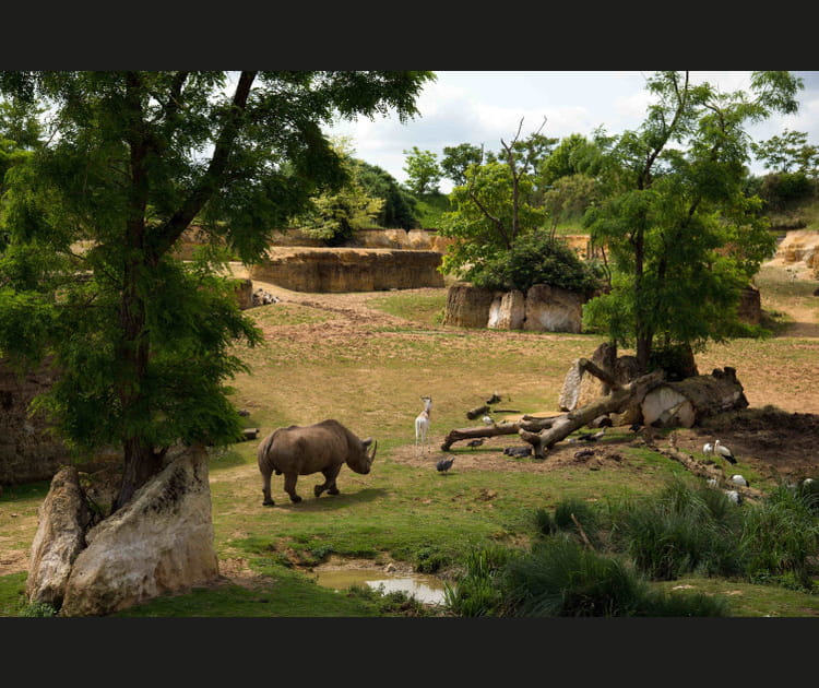 Le Bioparc de Dou&eacute;-la-Fontaine