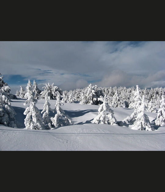 Neige sur le massif du Tanargue