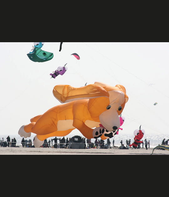 Cerf(chien)-volant