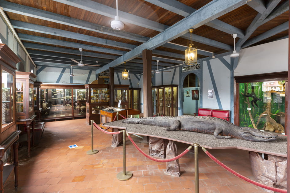 Mus&eacute;e Alexandre Franconie &agrave; Cayenne