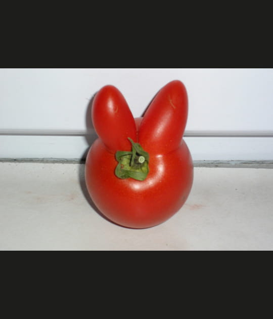 Petit lapin rouge