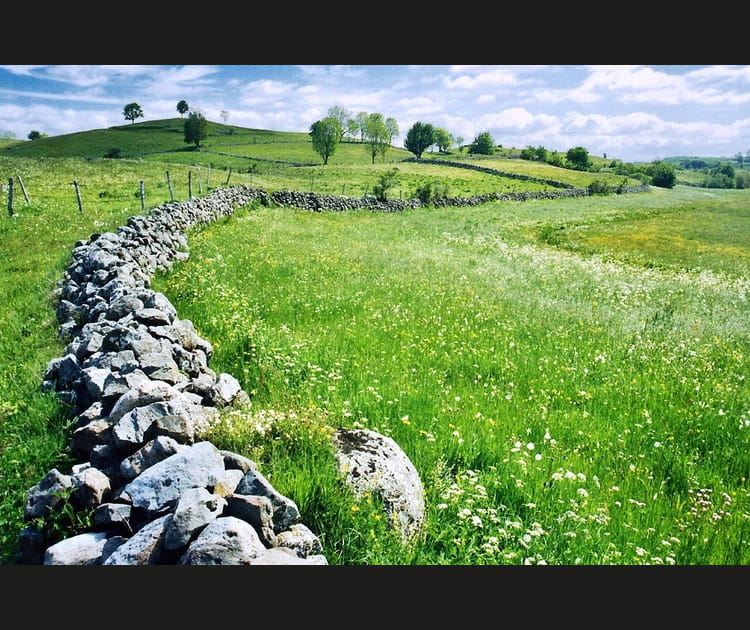 Le plateau de l'Aubrac