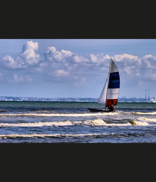 Voile