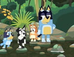 Bluey