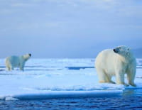 Expédition Arctique : au coeur du réchauffement climatique