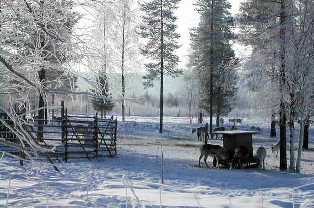 En Laponie : le village du père Noël