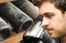 Investissement plaisir&nbsp;: 10&nbsp;vins de garde &agrave; placer dans votre cave