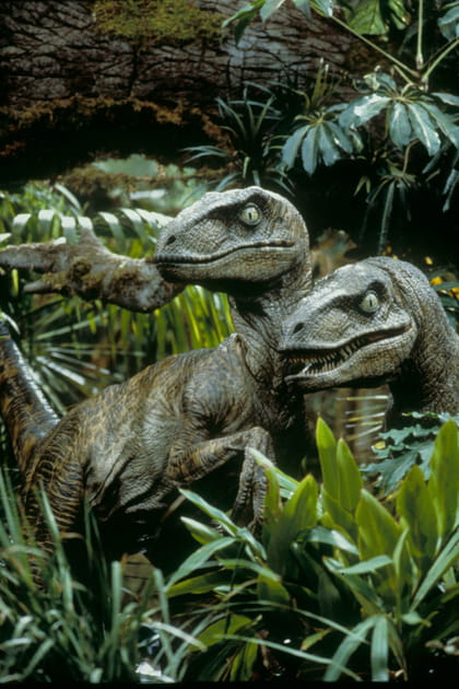 Les dinosaures apparaissent tr&egrave;s peu dans le film