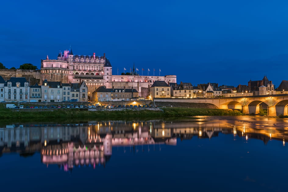 Ch&acirc;teau d'Amboise