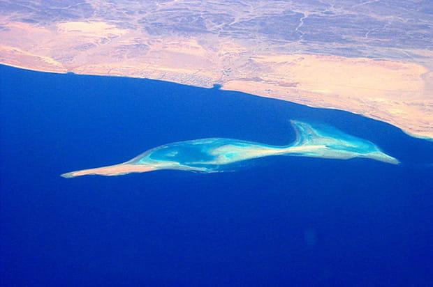 Le poisson en mer Rouge