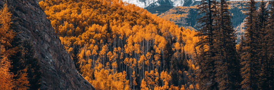 Road-trip automnal au Colorado, quand l'ouest am&eacute;ricain s'embrase