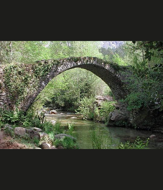 Pont g&eacute;nois