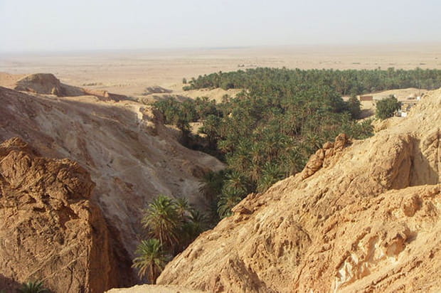 Vue de l'oasis