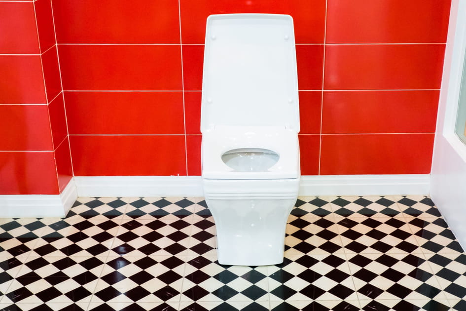 D&eacute;corer les toilettes