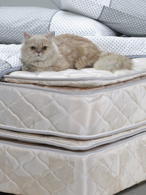 D&eacute;sodoriser le matelas