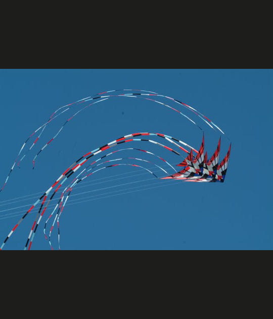 Un tourbillon de cerfs-volants