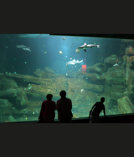 L'aquarium du Trocad&eacute;ro