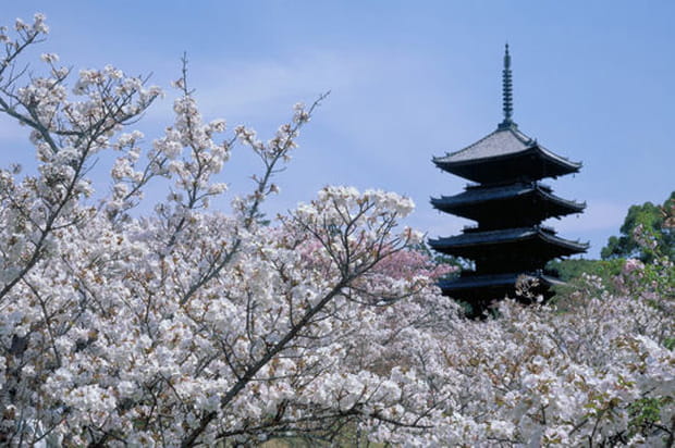 Douceur du printemps