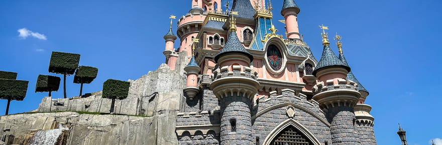 Faux mariage &agrave; Disneyland avec une enfant&nbsp;: l'inqui&eacute;tant profil de l'homme &eacute;crou&eacute;