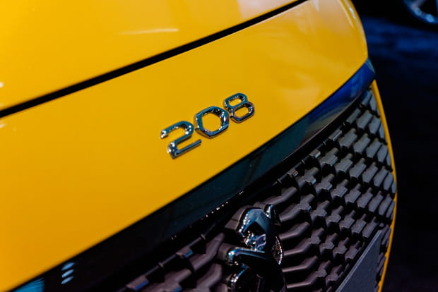 Le logo de la voiture apposé sur le capot