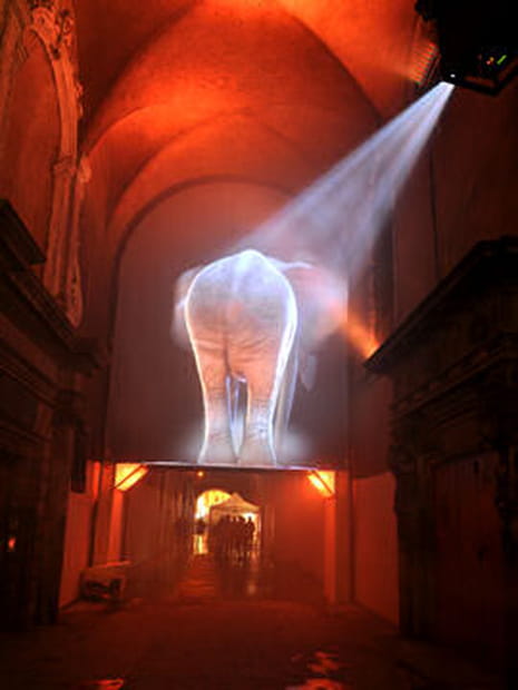 Les éléphants envahissent le centre ville