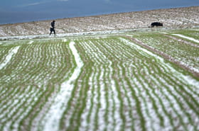 D&eacute;but d'un &eacute;pisode de froid, les pouvoirs publics vigilants