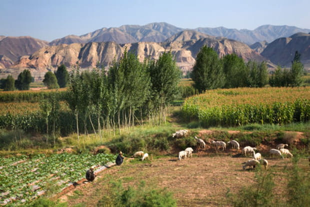 A travers la province de Shaanxi