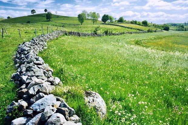 Le plateau de l'Aubrac