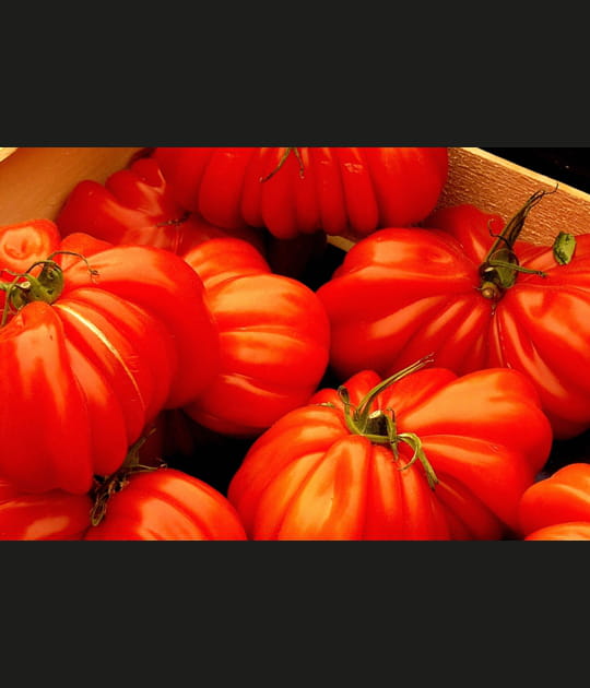 Tomates c&oelig;ur de b&oelig;uf