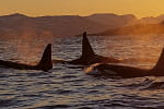 les plus beaux voyages nature 