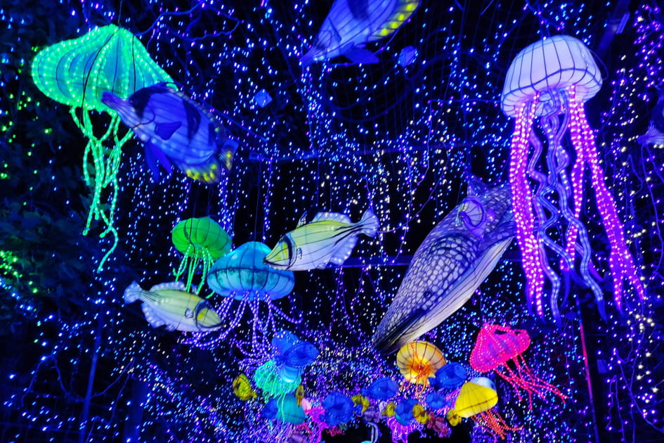 Une nouvelle exp&eacute;rience onirique aux Lumi&egrave;res Sauvages du Safari de Peaugres
