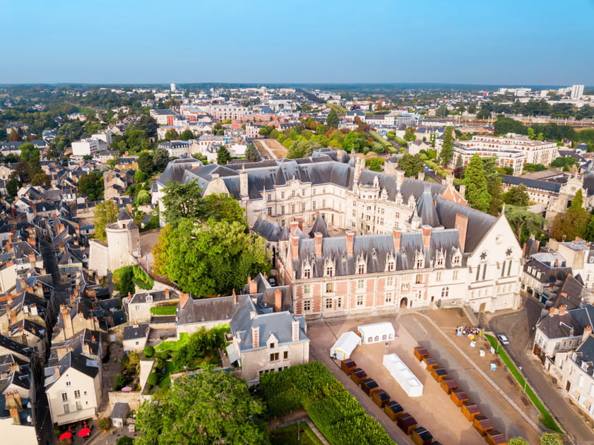 Le ch&acirc;teau de Blois